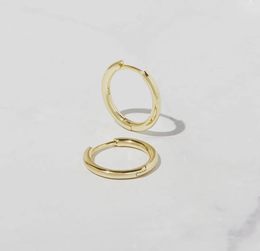 Small hoop earrings